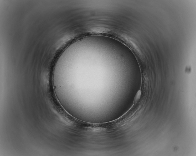 X0000100950539200807081220