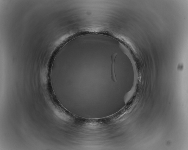 X0000100950540200807081220