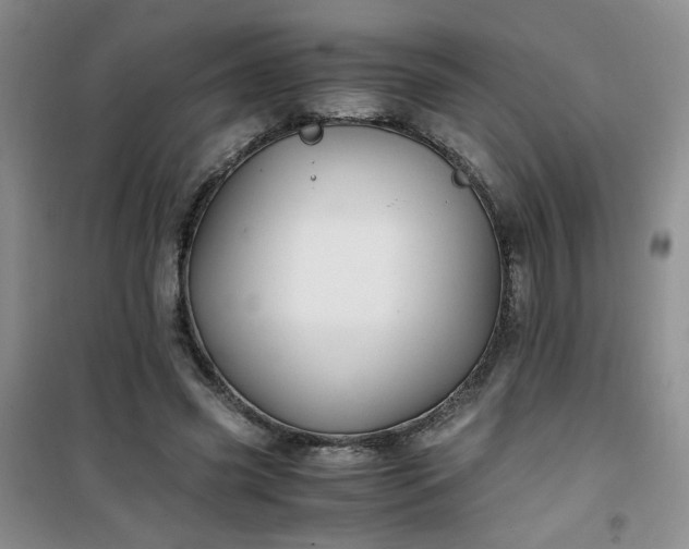 X0000100950541200807081220