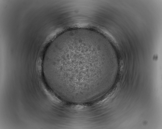 X0000100950542200807081220