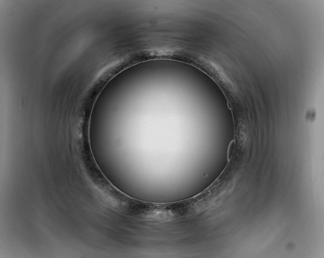 X0000100950543200807081220