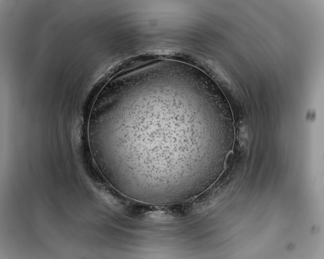 X0000100950544200807081220