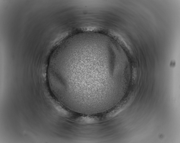 X0000100950545200807081221