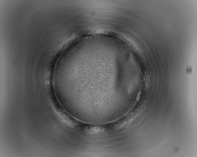 X0000100950546200807081221