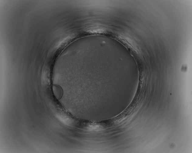 X0000100950547200807081221