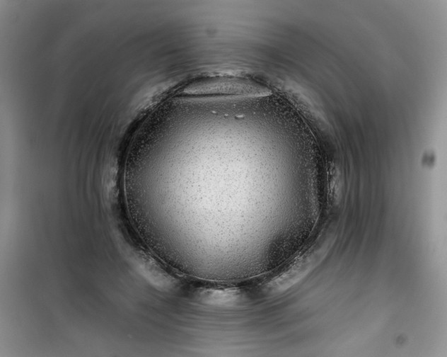 X0000100950548200807081221