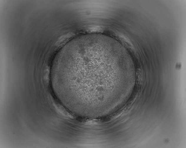 X0000100950550200807081221