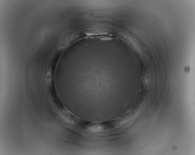 X0000100950551200807081221