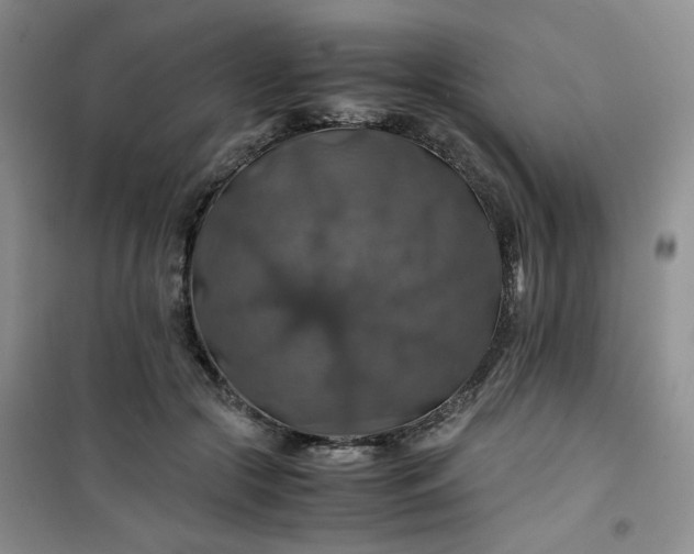 X0000100950553200807081221