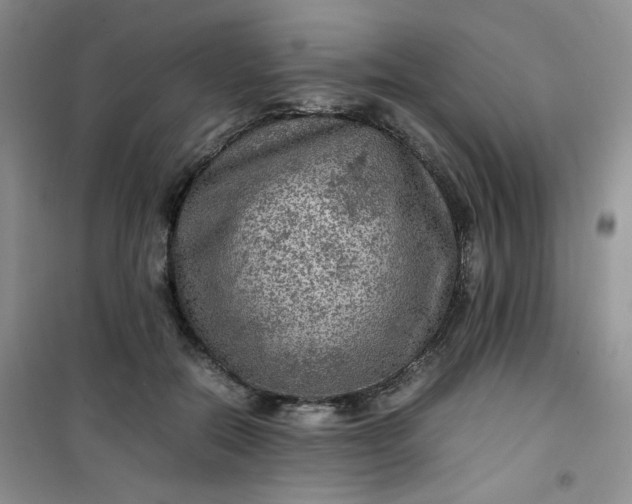 X0000100950554200807081221