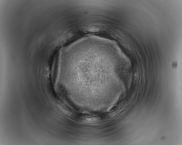 X0000100950555200807081221