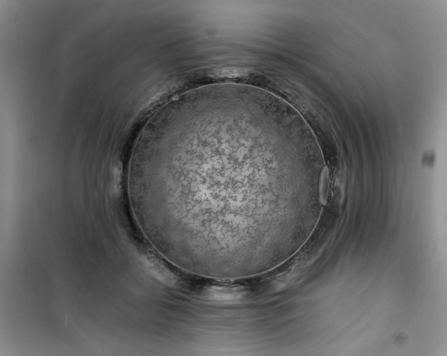 X0000100950556200807081221