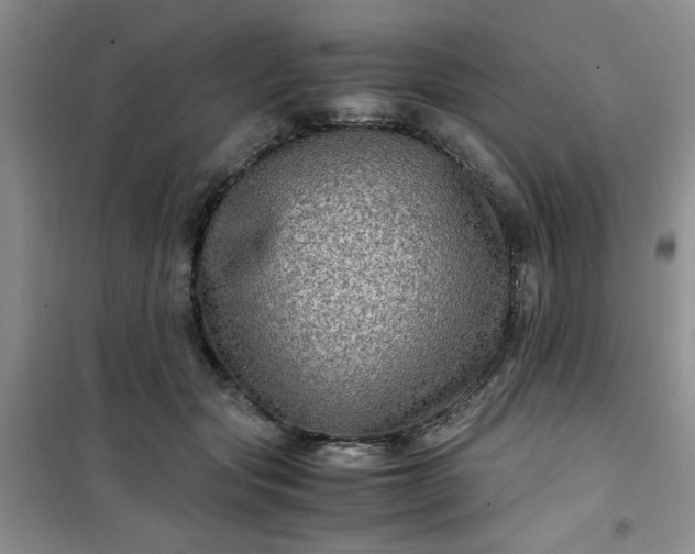 X0000100950557200807081221