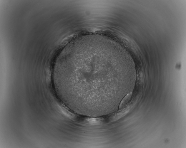 X0000100950558200807081221