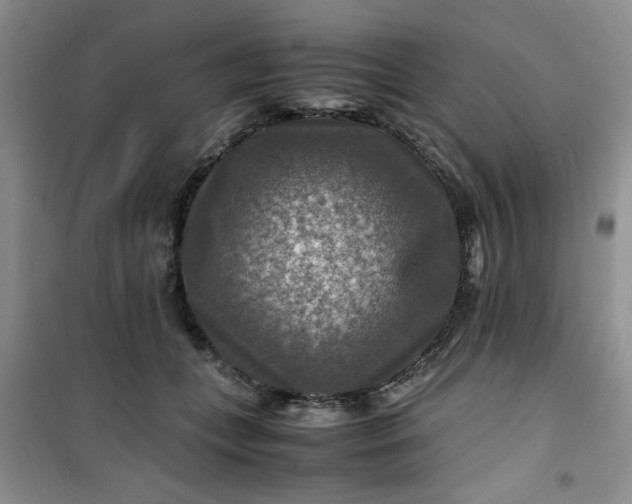 X0000100950559200807081221