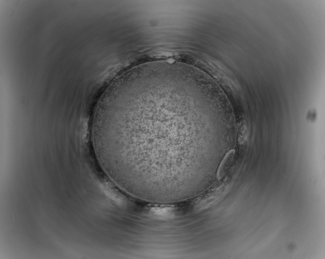 X0000100950560200807081221