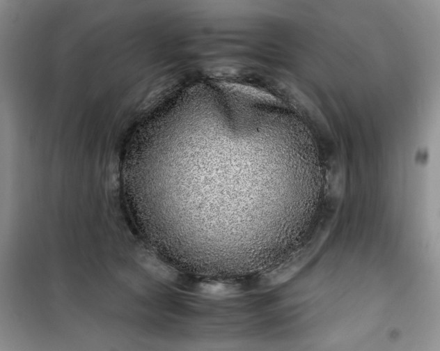 X0000100950561200807081221