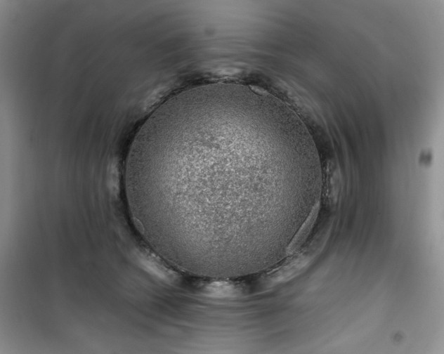 X0000100950562200807081221