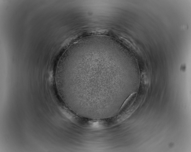 X0000100950564200807081221