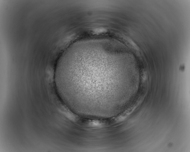 X0000100950565200807081221