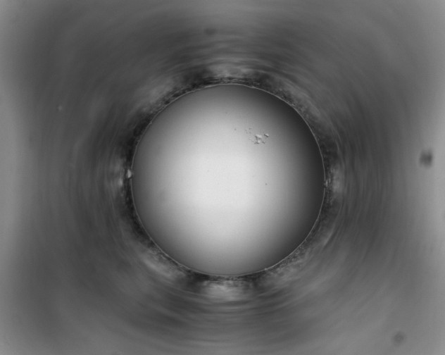 X0000100950567200807081221