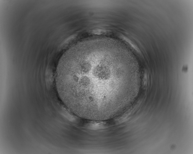 X0000100950569200807081221