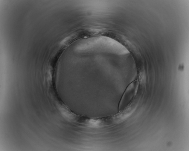 X0000100950570200807081221