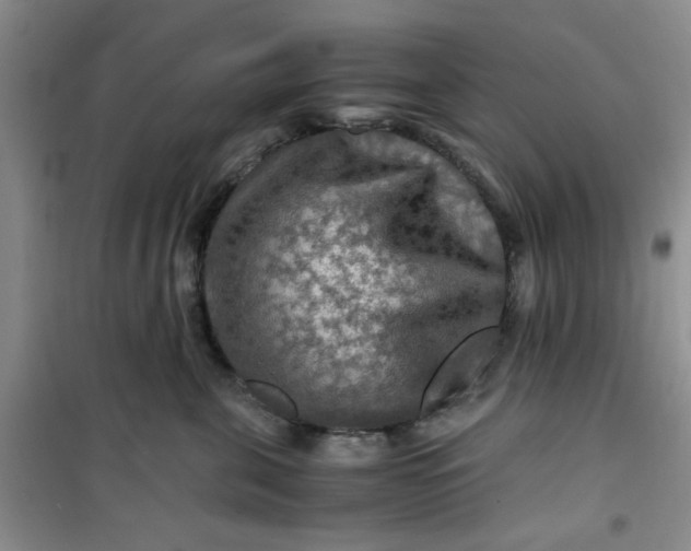 X0000100950571200807081221