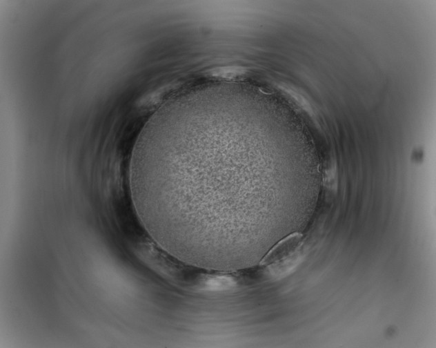 X0000100950572200807081221