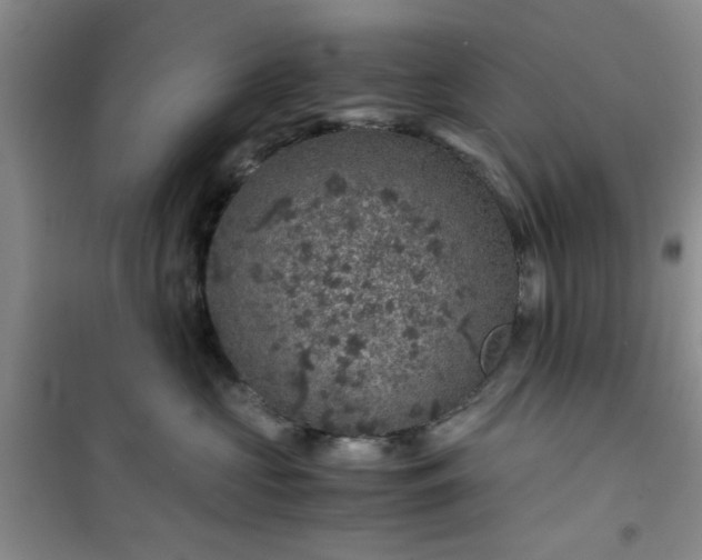 X0000100950573200807081221