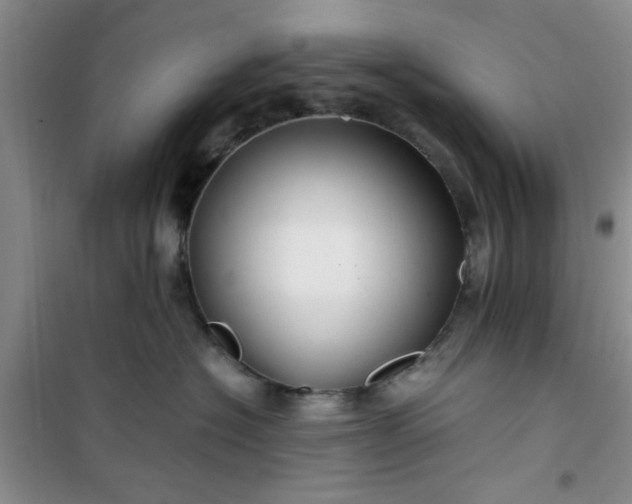 X0000100950574200807081221