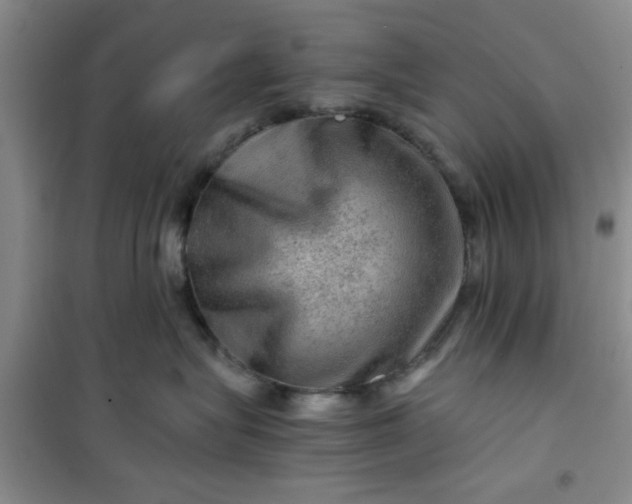 X0000100950575200807081221