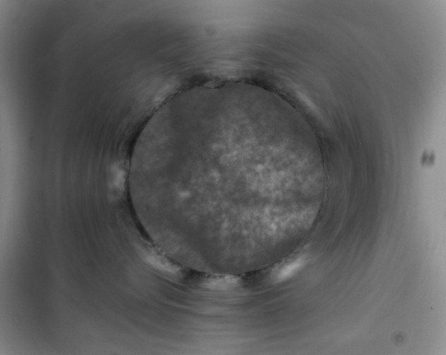 X0000100950576200807081221