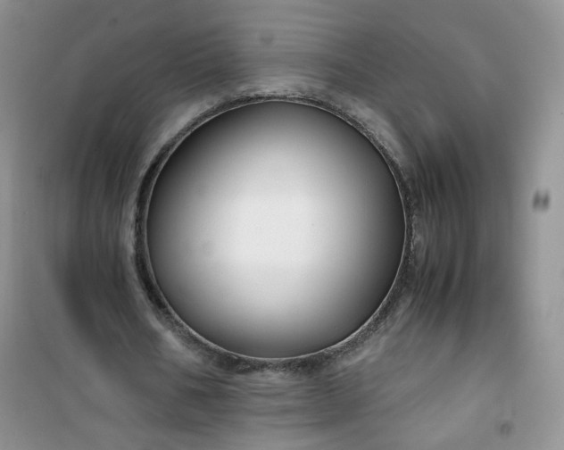 X0000100950578200807081220