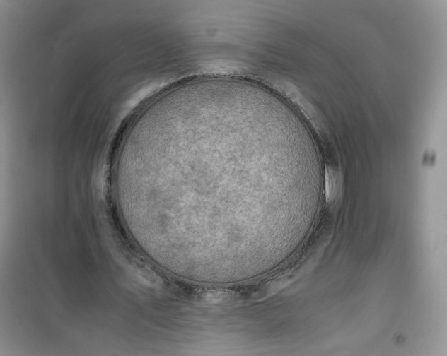 X0000100950579200807081220