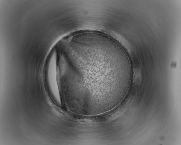 X0000100950580200807081220