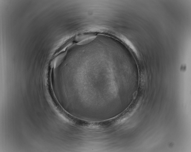 X0000100950581200807081220