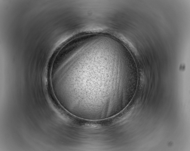 X0000100950582200807081220