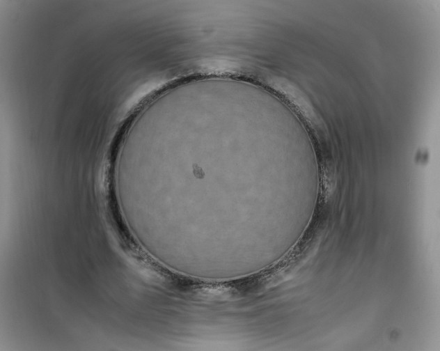 X0000100950583200807081220