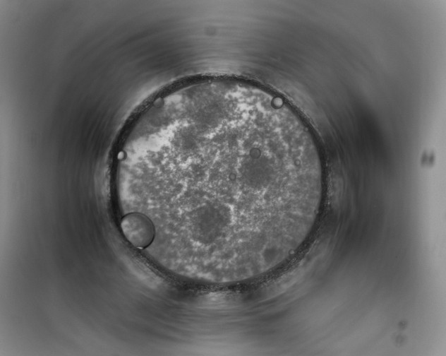 X0000100950584200807081220