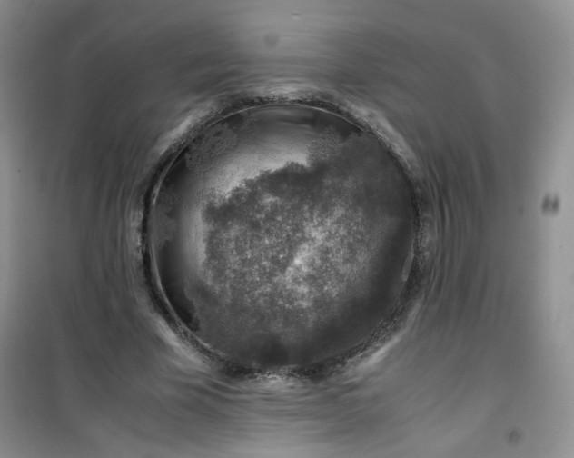 X0000100950585200807081220