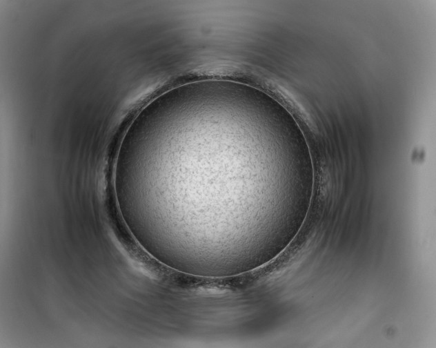 X0000100950586200807081220