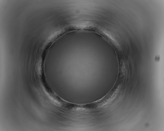 X0000100950590200807081220