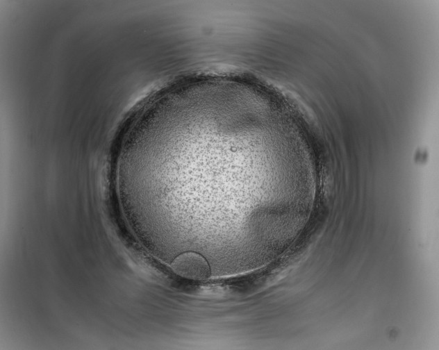 X0000100950591200807081220