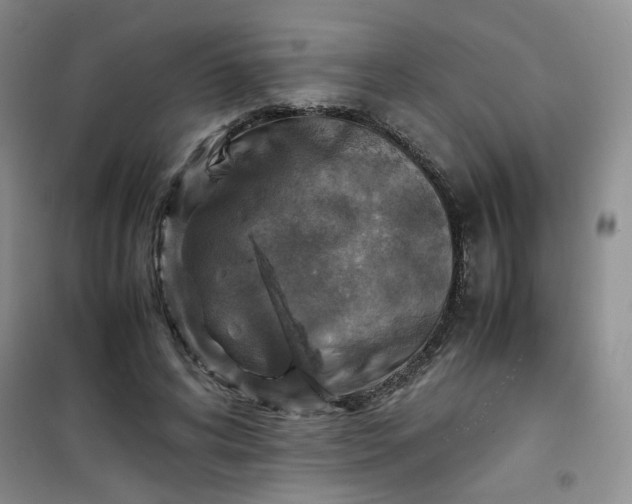 X0000100950592200807081220