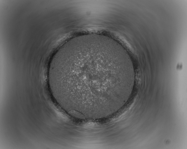 X0000100950593200807081220