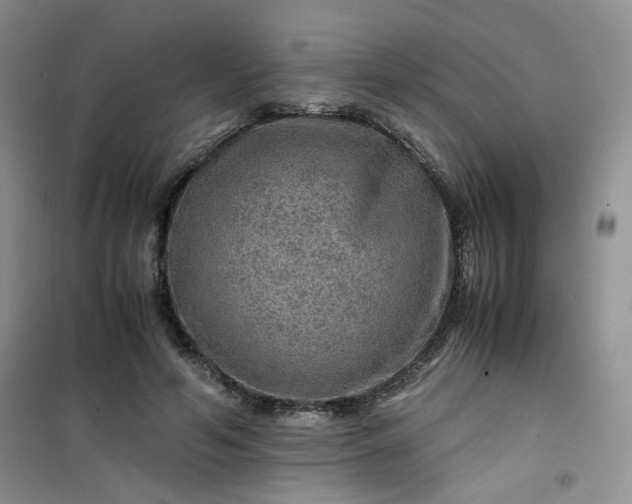 X0000100950594200807081220