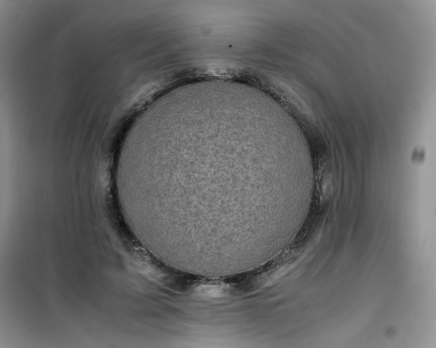 X0000100950595200807081220