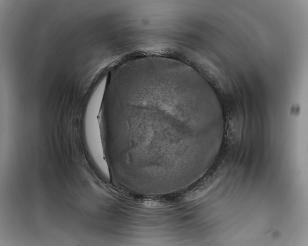 X0000100950596200807081220