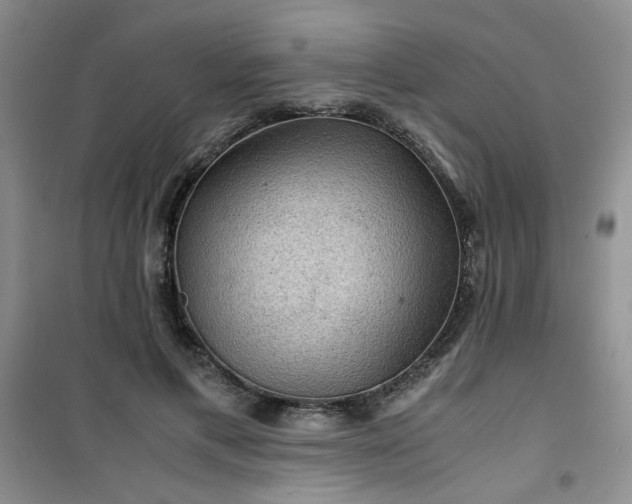 X0000100950597200807081220